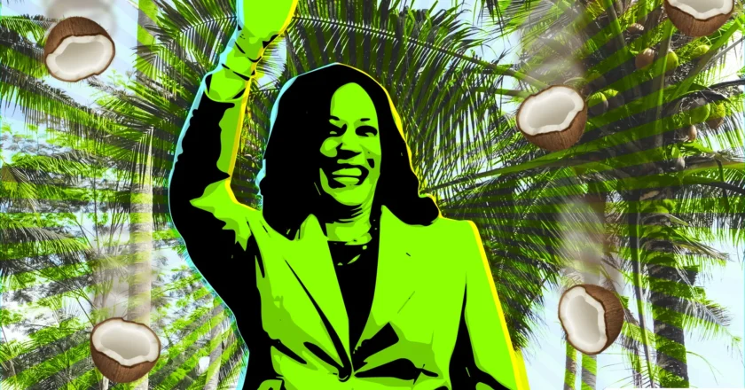 Libels Believe the path to victory is with Kamala memes