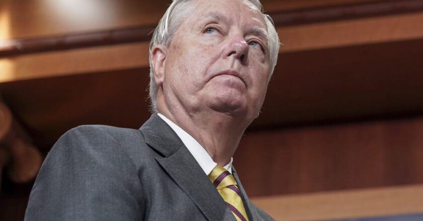 Lindsey Graham Fights Back Against the President Elects Immigration Plans- Lindsey Graham is a RINO.