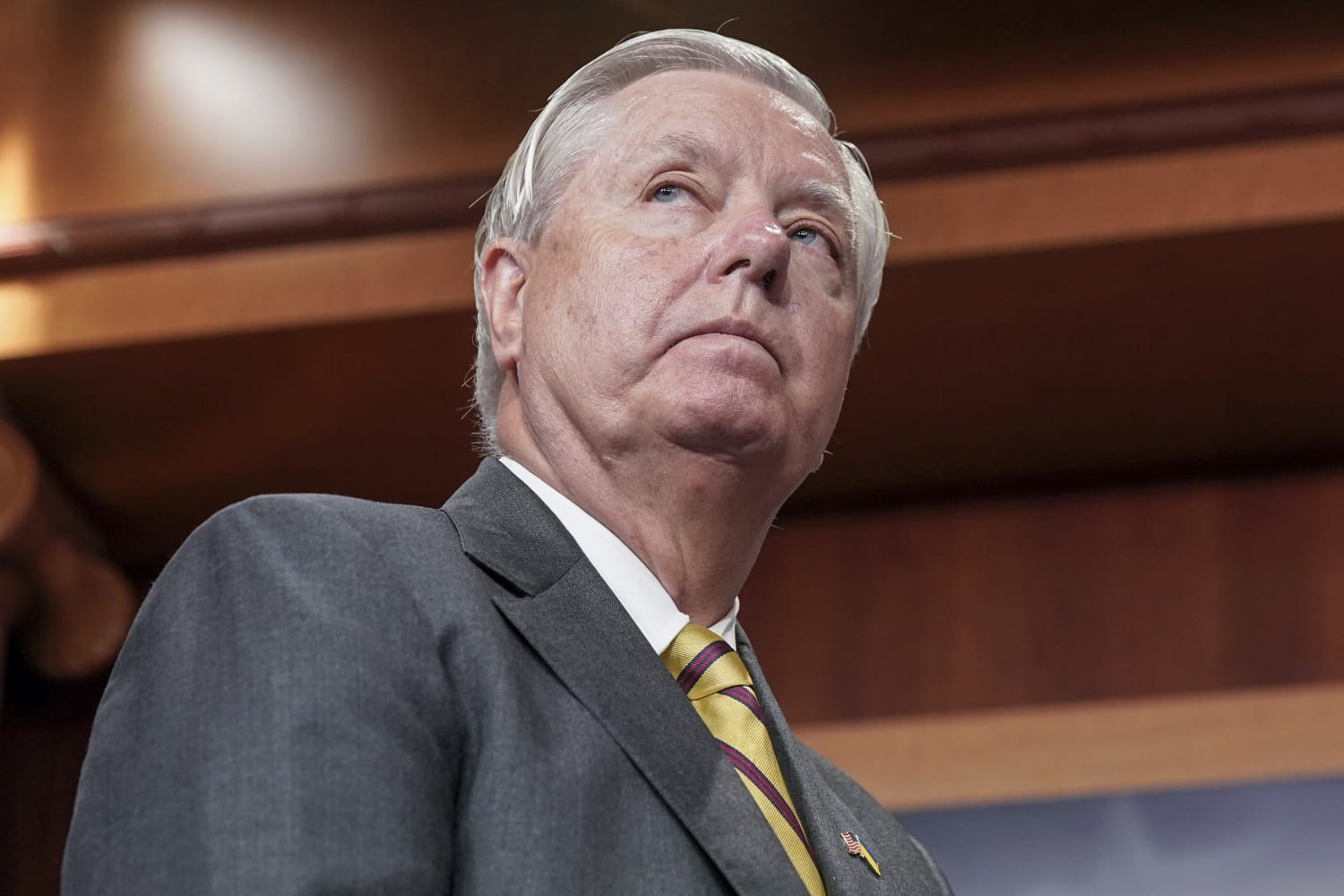 Lindsey Graham Fights Back Against the President Elects Immigration Plans- Lindsey Graham is a RINO.