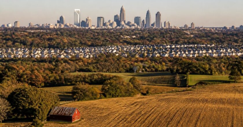 North Carolina Election Predictions for 2026