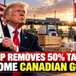Trump Removes 50% Tariffs on Some Canadian Goods